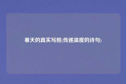 暑天的真实写照(传递温度的诗句)