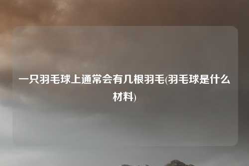 一只羽毛球上通常会有几根羽毛(羽毛球是什么材料)