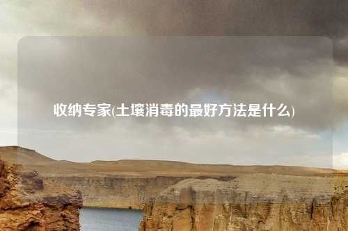 收纳专家(土壤消毒的最好方法是什么)