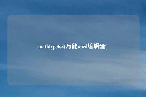 mathtype6.5(万能word编辑器)