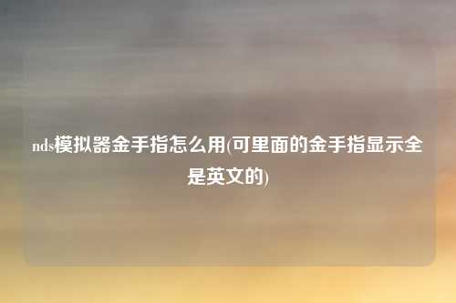 nds模拟器金手指怎么用(可里面的金手指显示全是英文的)