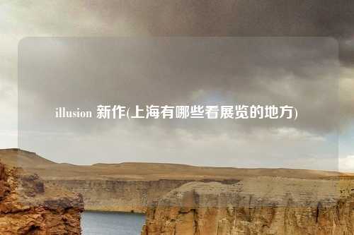 illusion 新作(上海有哪些看展览的地方)