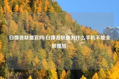 白嫖者联盟官网(白嫖者联盟为什么手机不能全屏播放)