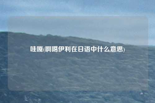哇嘎(啊噶伊利在日语中什么意思)