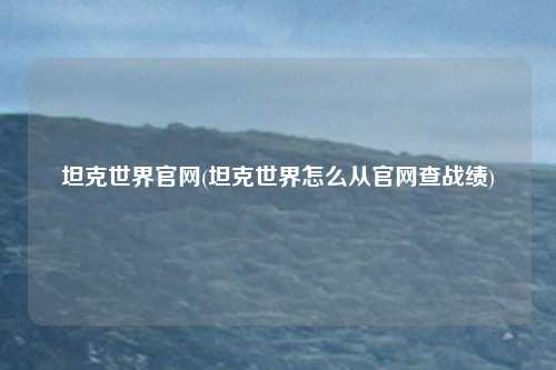 坦克世界官网(坦克世界怎么从官网查战绩)