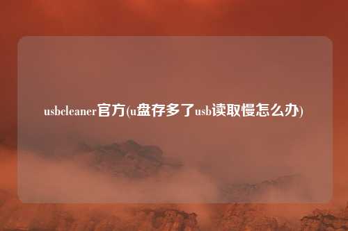 usbcleaner官方(u盘存多了usb读取慢怎么办)