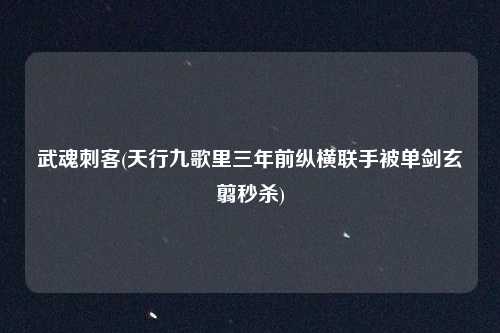 武魂刺客(天行九歌里三年前纵横联手被单剑玄翦秒杀)