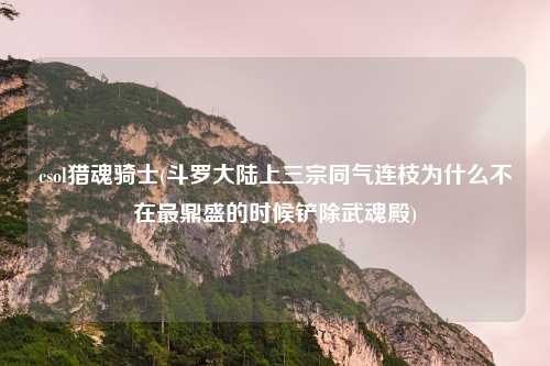 csol猎魂骑士(斗罗大陆上三宗同气连枝为什么不在最鼎盛的时候铲除武魂殿)
