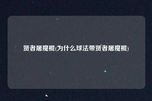 贤者屠魔棍(为什么球法带贤者屠魔棍)