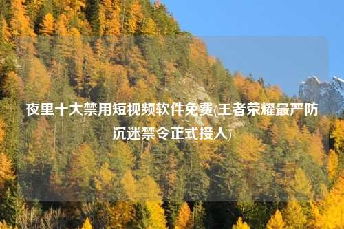 夜里十大禁用短视频软件免费(王者荣耀最严防沉迷禁令正式接入)