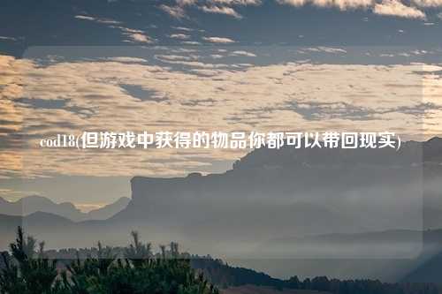 cod18(但游戏中获得的物品你都可以带回现实)