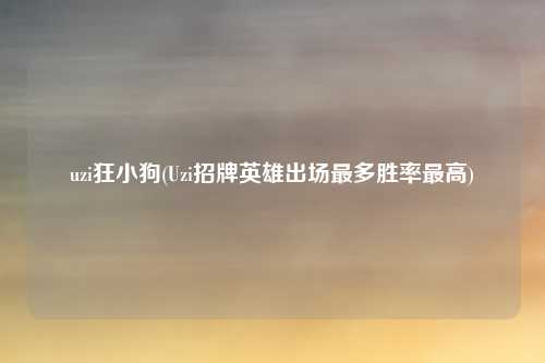 uzi狂小狗(Uzi招牌英雄出场最多胜率最高)