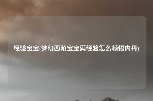 经验宝宝(梦幻西游宝宝满经验怎么领悟内丹)
