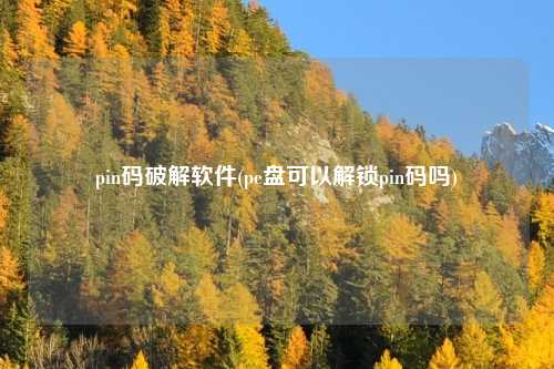 pin码破解软件(pe盘可以解锁pin码吗)
