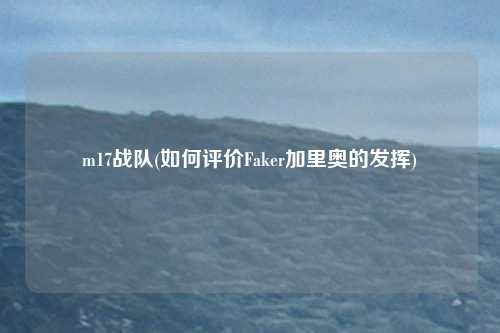 m17战队(如何评价Faker加里奥的发挥)