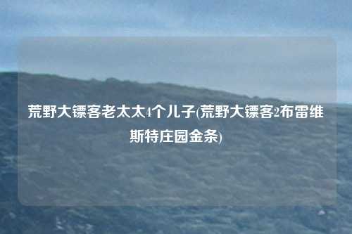 荒野大镖客老太太4个儿子(荒野大镖客2布雷维斯特庄园金条)