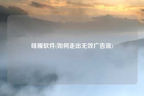 哇嘎软件(如何走出无效广告流)