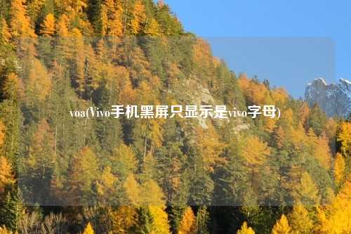 voa(Vivo手机黑屏只显示是vivo字母)