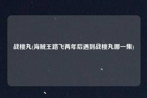 战桃丸(海贼王路飞两年后遇到战桃丸哪一集)