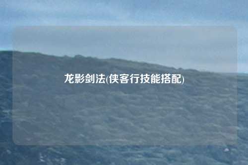 龙影剑法(侠客行技能搭配)