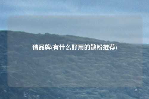 猜品牌(有什么好用的散粉推荐)