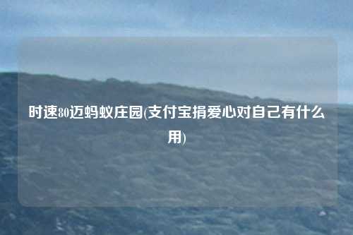 时速80迈蚂蚁庄园(支付宝捐爱心对自己有什么用)