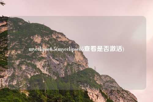 myeclipse6.5(myeclipse65查看是否激活)
