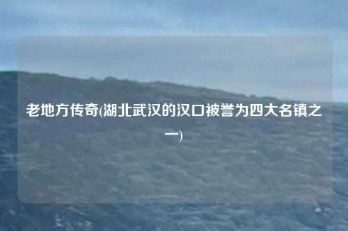 老地方传奇(湖北武汉的汉口被誉为四大名镇之一)