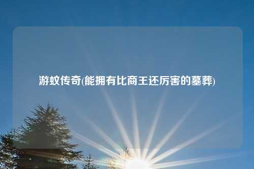 游蚊传奇(能拥有比商王还厉害的墓葬)