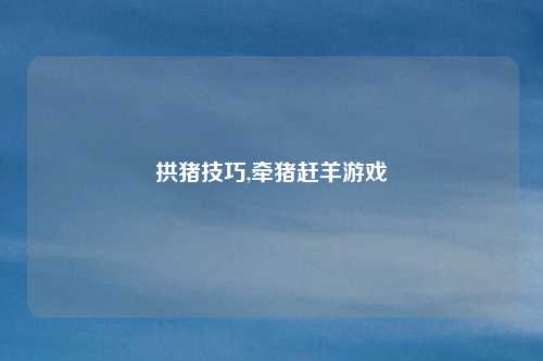 拱猪技巧,牵猪赶羊游戏