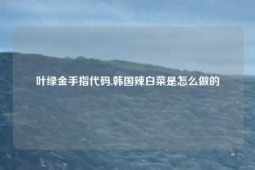 叶绿金手指代码,韩国辣白菜是怎么做的