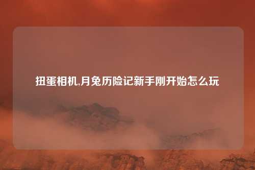扭蛋相机,月兔历险记新手刚开始怎么玩