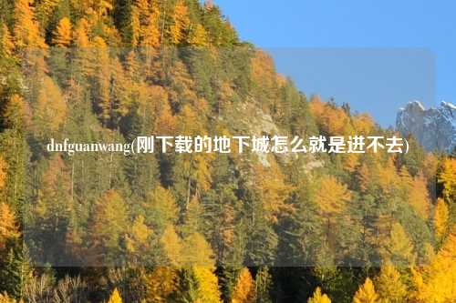 dnfguanwang(刚下载的地下城怎么就是进不去)