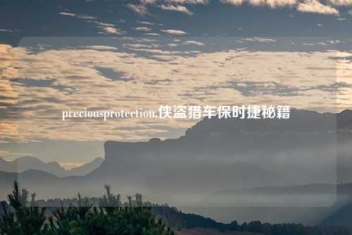 preciousprotection,侠盗猎车保时捷秘籍