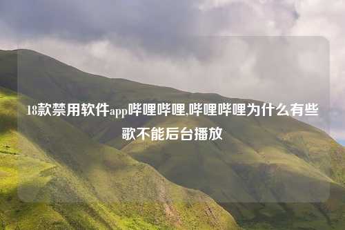 18款禁用软件app哔哩哔哩,哔哩哔哩为什么有些歌不能后台播放
