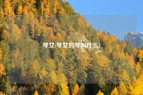 琴女(琴女的琴叫什么)