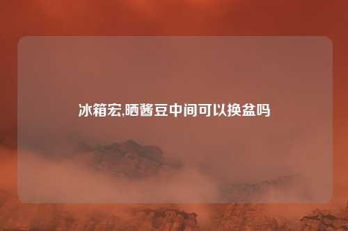 冰箱宏,晒酱豆中间可以换盆吗