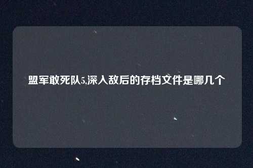 盟军敢死队5,深入敌后的存档文件是哪几个