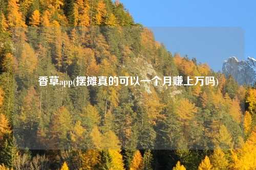 香草app(摆摊真的可以一个月赚上万吗)