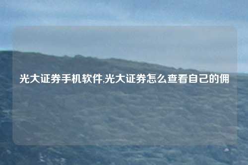 光大证券手机软件,光大证券怎么查看自己的佣