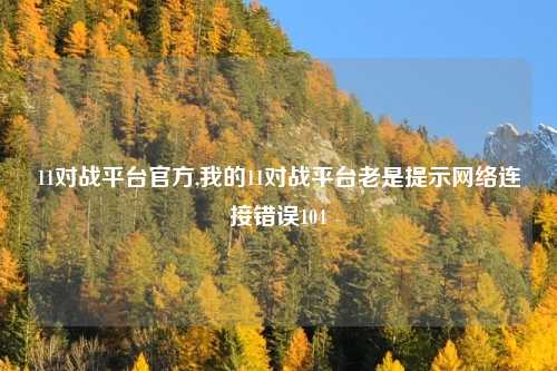 11对战平台官方,我的11对战平台老是提示网络连接错误104