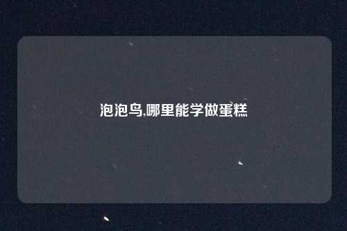 泡泡鸟,哪里能学做蛋糕