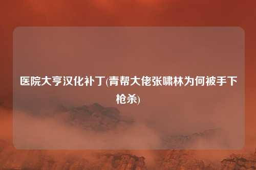 医院大亨汉化补丁(青帮大佬张啸林为何被手下枪杀)