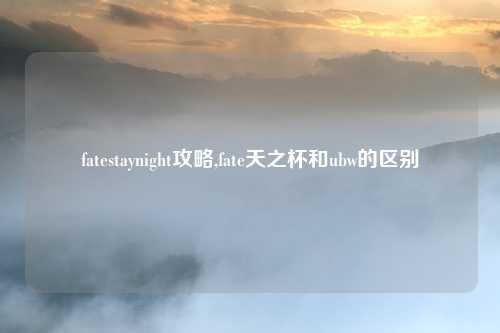 fatestaynight攻略,fate天之杯和ubw的区别