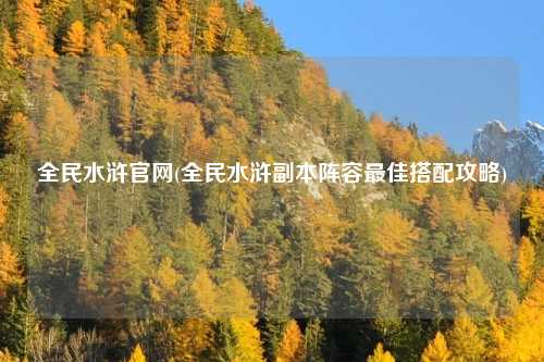 全民水浒官网(全民水浒副本阵容最佳搭配攻略)