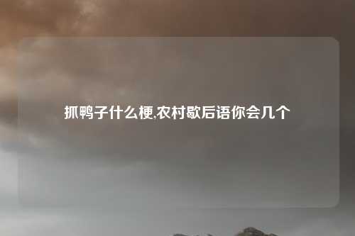 抓鸭子什么梗,农村歇后语你会几个