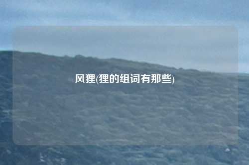 风狸(狸的组词有那些)