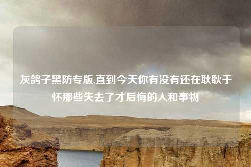 灰鸽子黑防专版,直到今天你有没有还在耿耿于怀那些失去了才后悔的人和事物