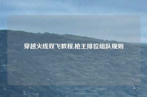 穿越火线双飞教程,枪王排位组队规则
