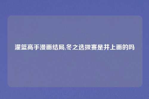灌篮高手漫画结局,冬之选拔赛是井上画的吗